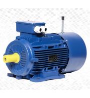 AC Brake Induction Motors Electromagnetic Disc Brake IP55 0.37-55kW 415V | Fail Safe/Spring Loaded Brake Torque 5-500Nm | TEFC B3/B5 Mounting | Crane/Hoist/Lift Applications | DEWA Approved UAE Solutions 